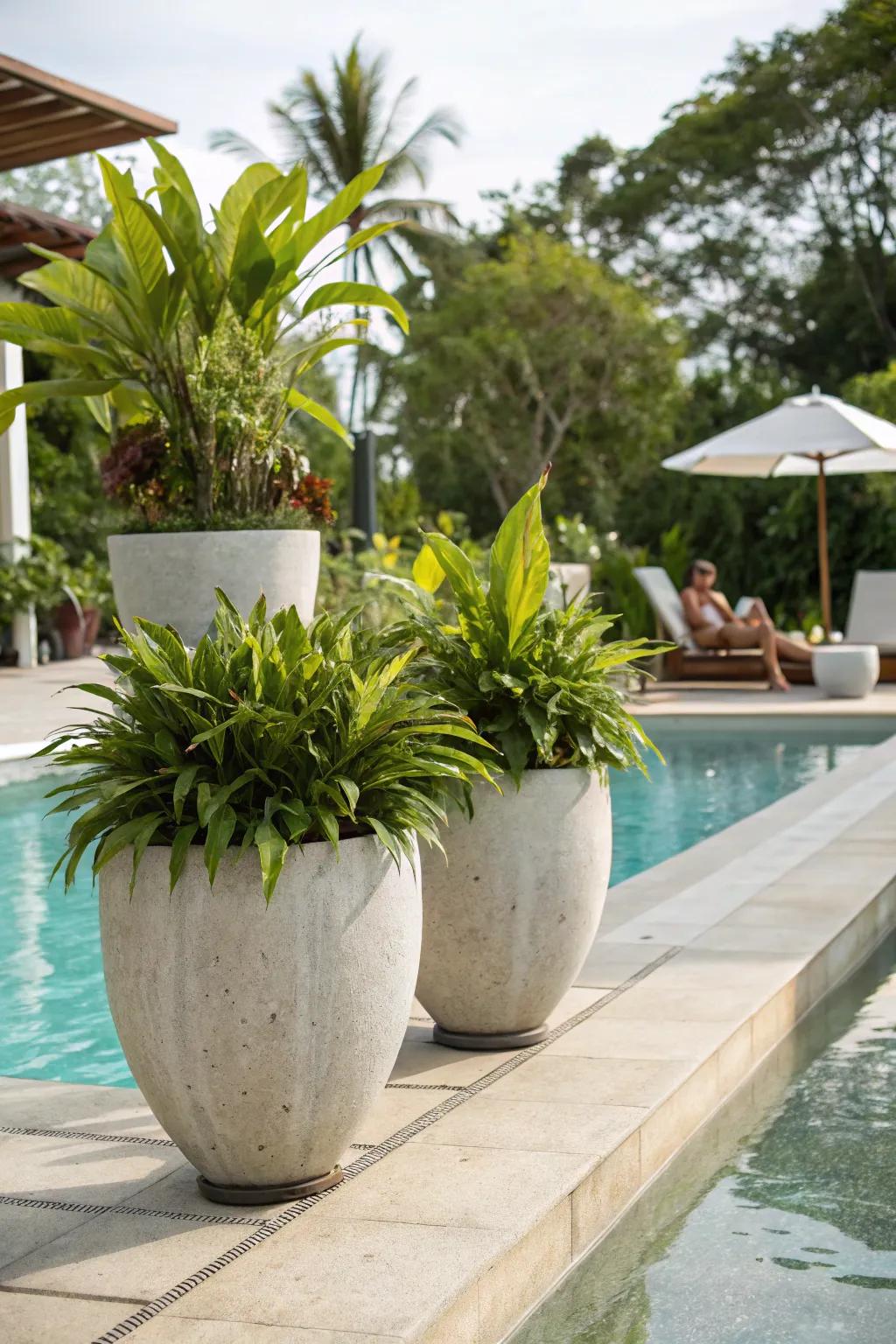 Sculptural planters serve as focal points around the pool.