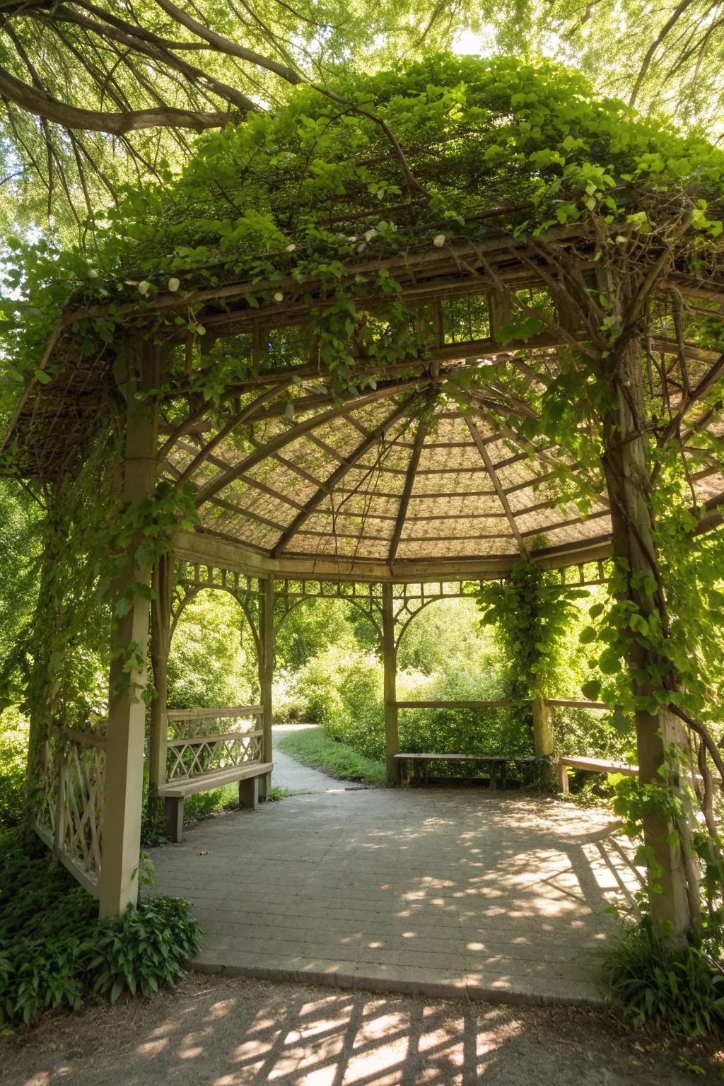 Open frameworks with vines offer a living, evolving roof solution.