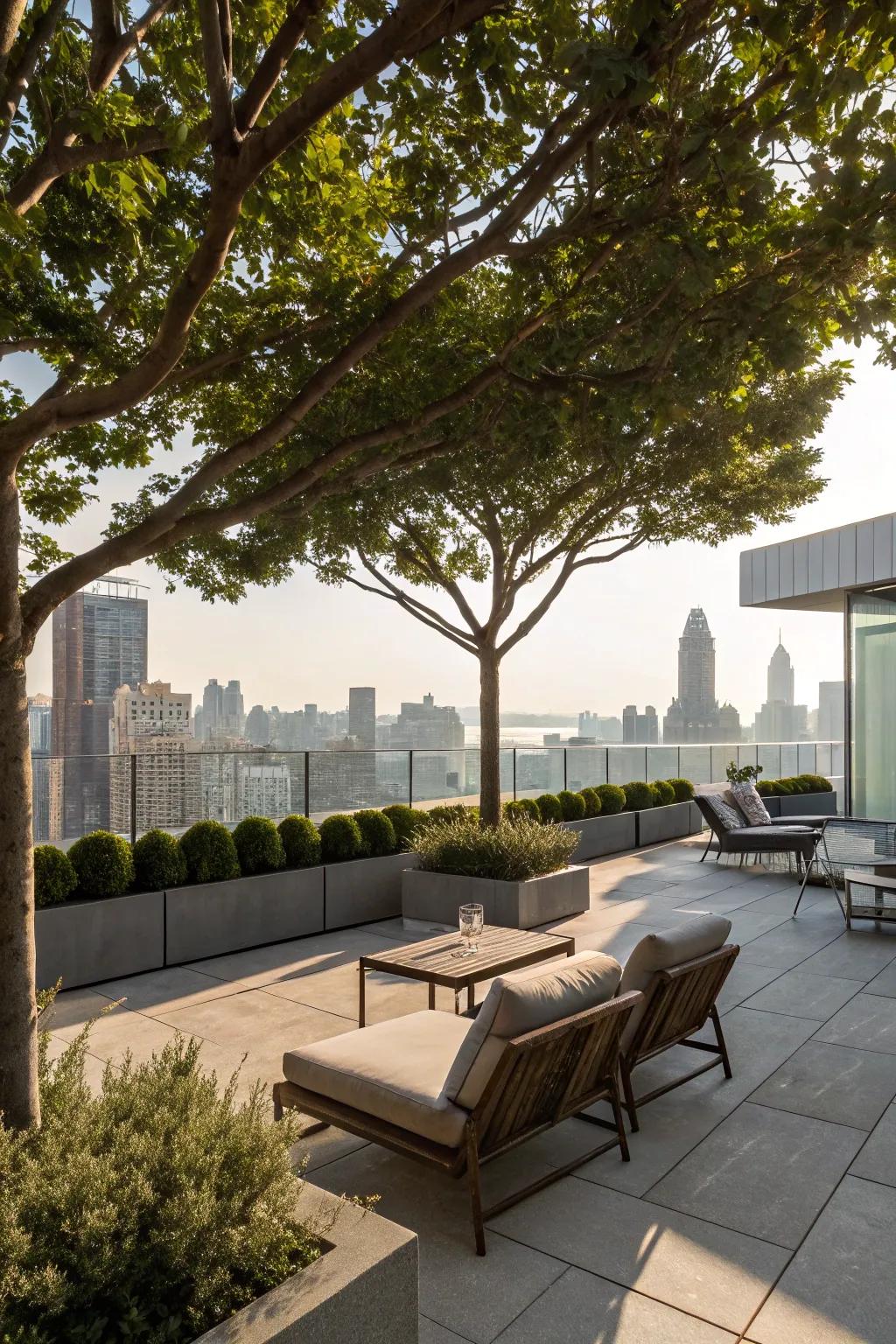 Cultivate natural beauty with a tree canopy on your rooftop.