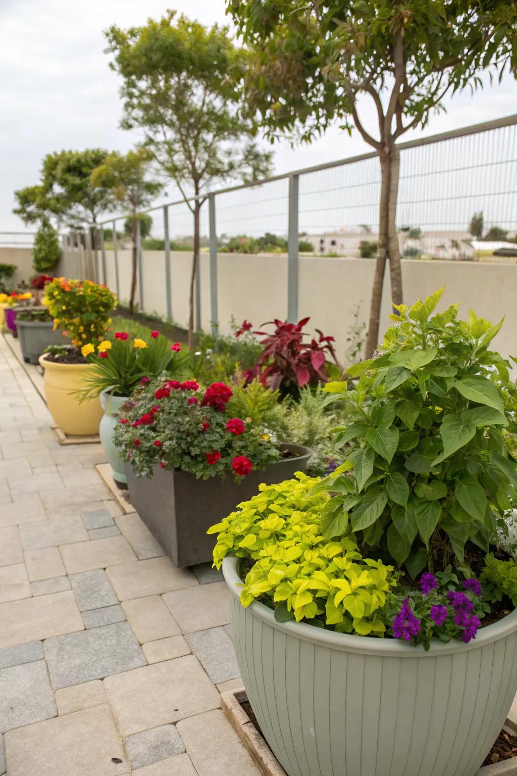 Colorful planters add a pop of personality.