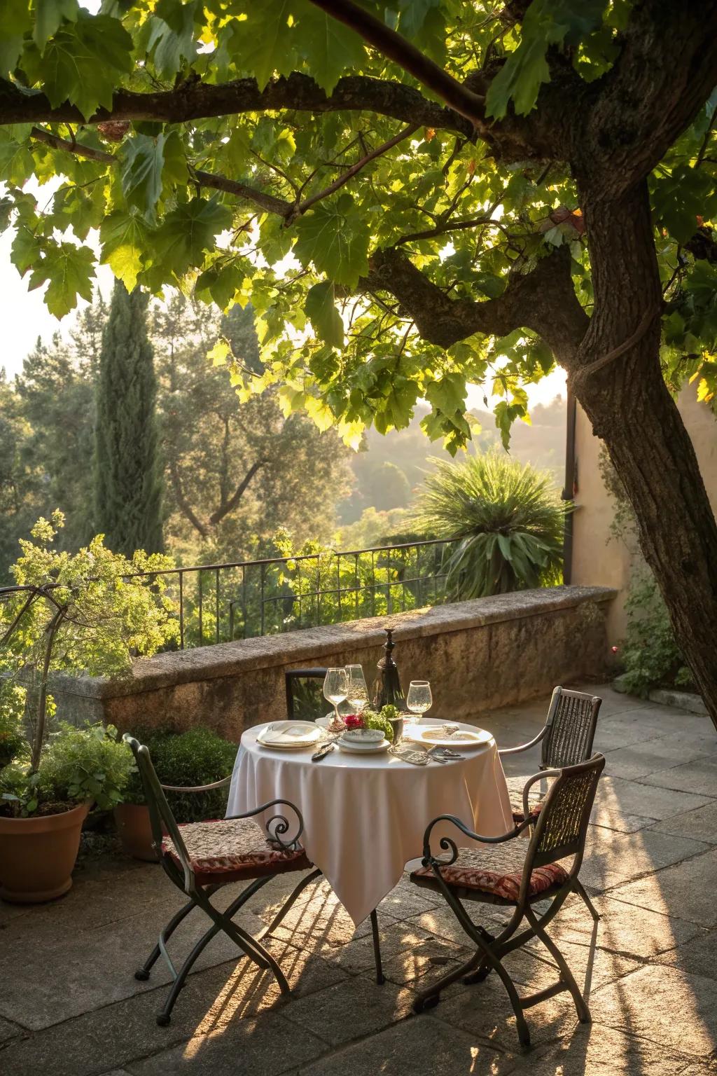 Natural shade from trees creates a cool and pleasant dining environment.