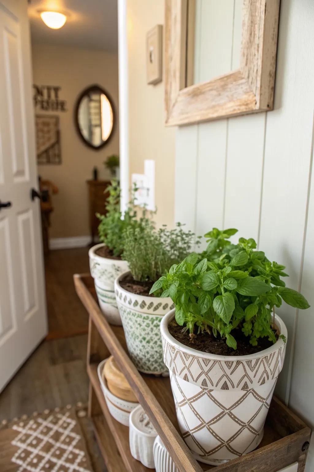 A mini herb garden adds beauty and functionality.