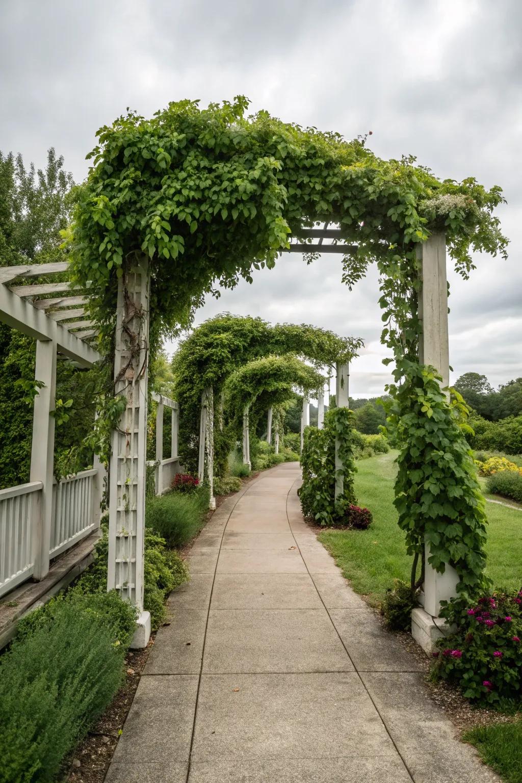 Symmetrical arbors enhancing entrance and flow.