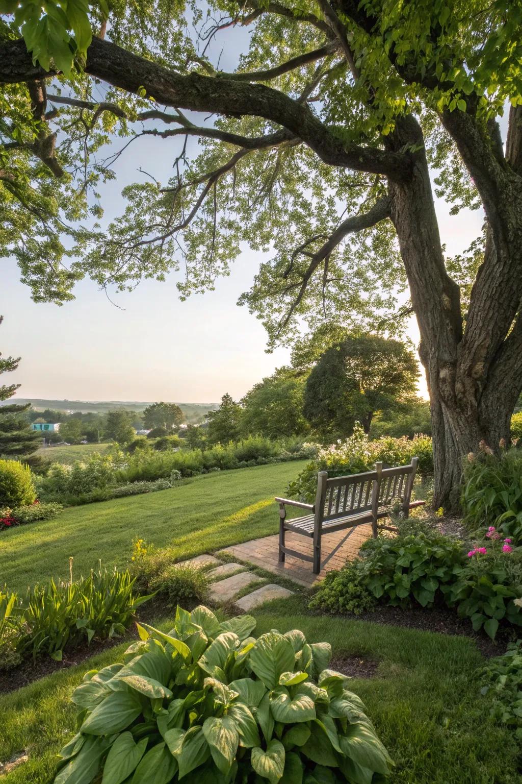 A cozy seating area under a tree offers a perfect retreat.