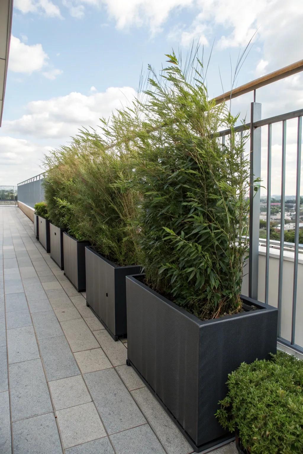Shield your delicate plants with planter boxes that double as windbreaks.