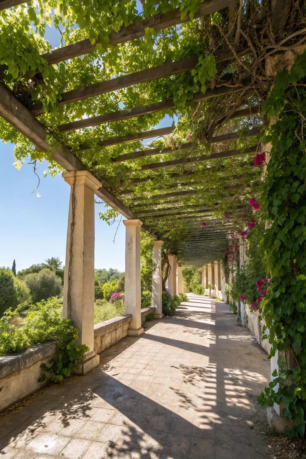 Enjoy shade and beauty with a pergola and climbing vines.
