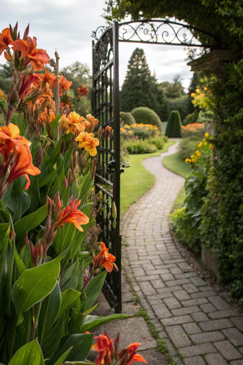 Canna lilies making a bold statement at a garden entrance.