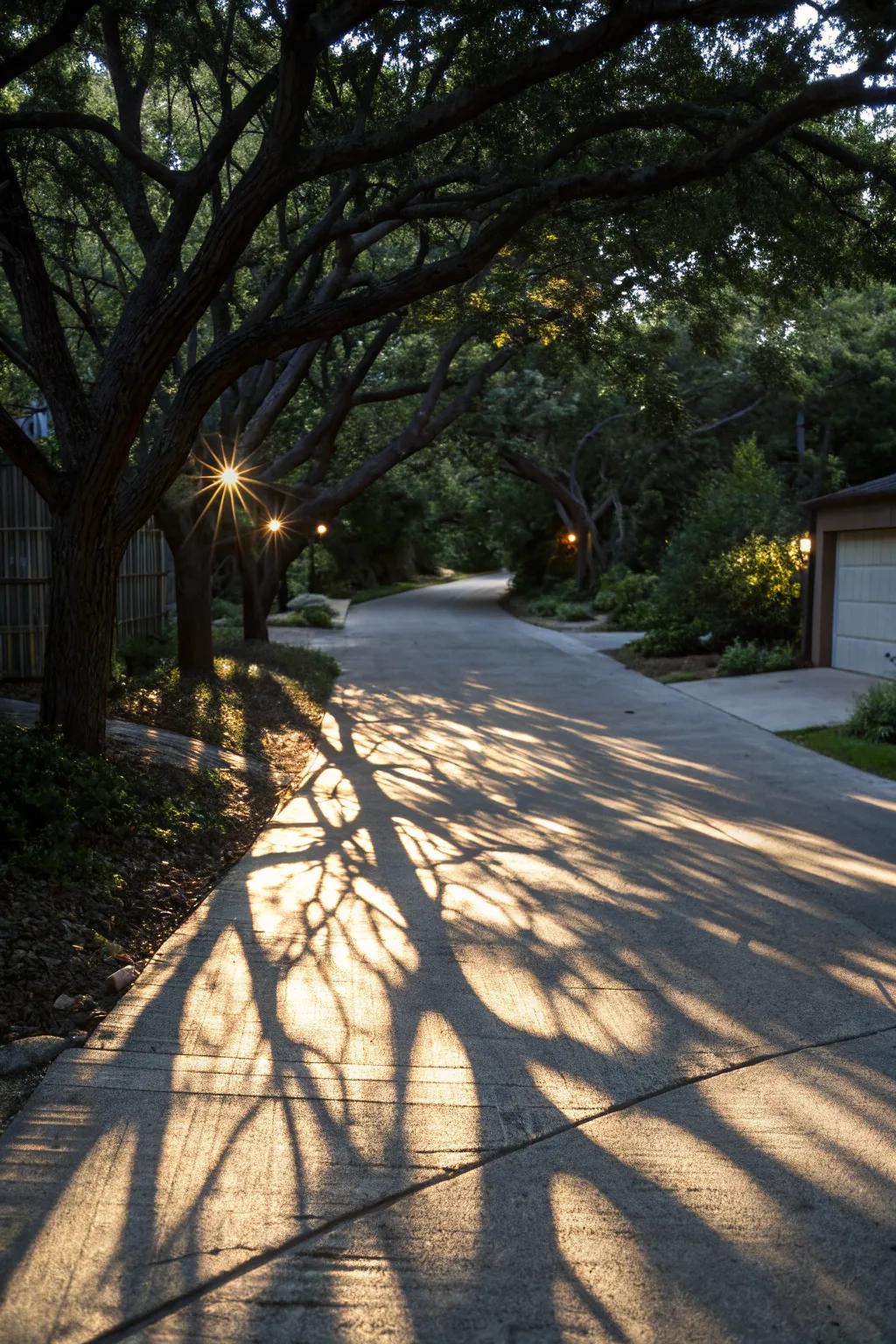Artistic lighting creates unique shadow patterns.