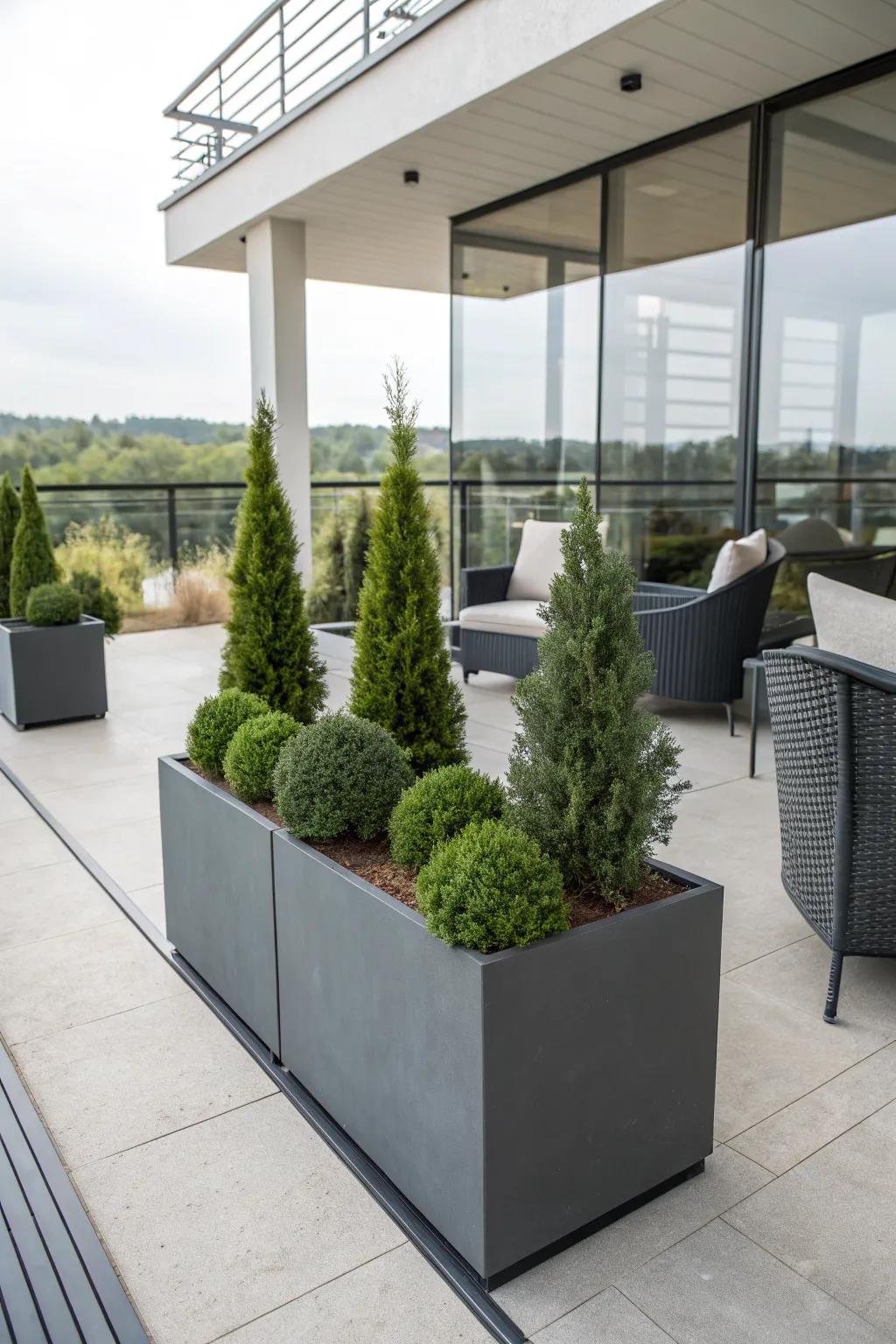 Geometric shapes: modern twist on evergreen displays.
