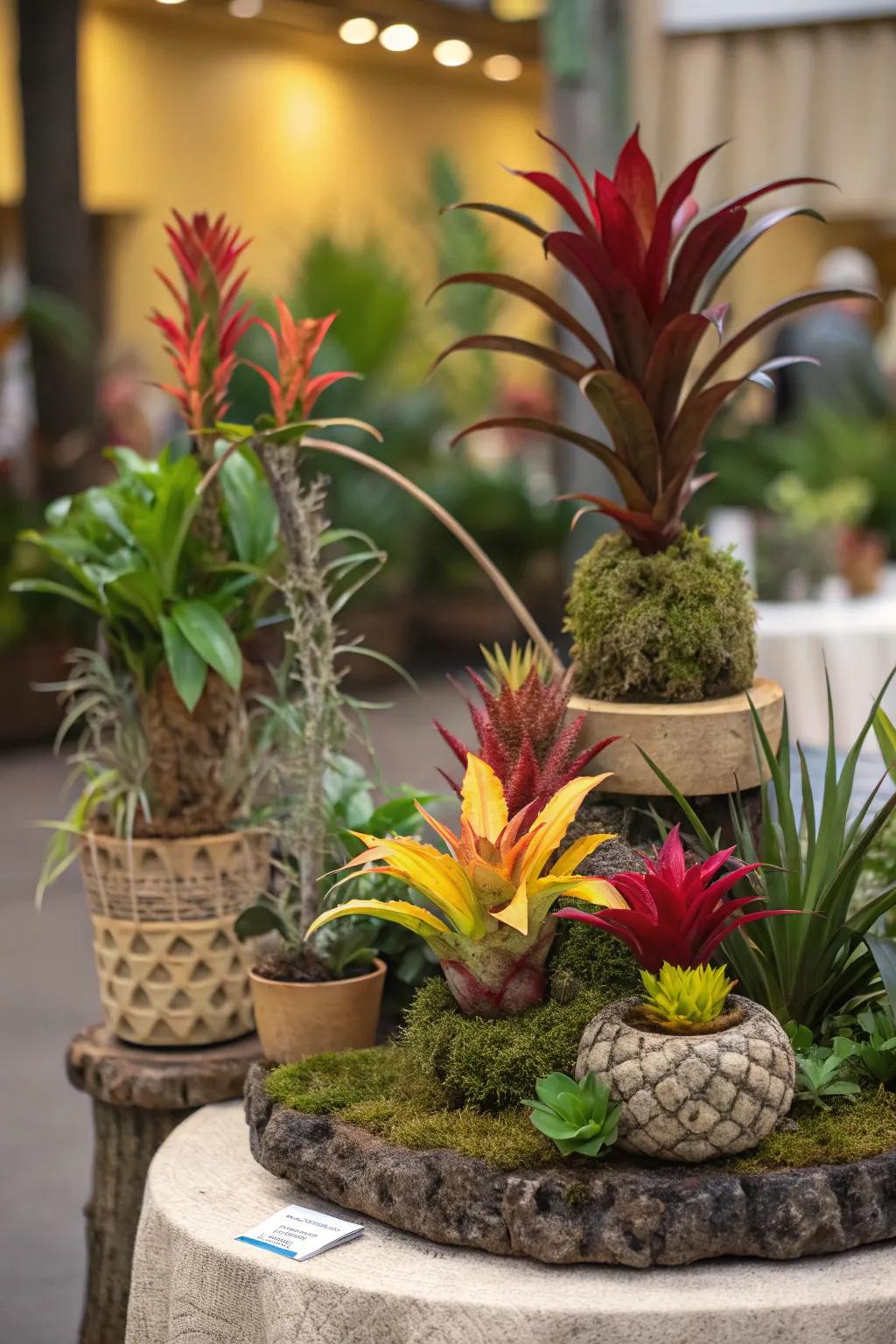 Plant art adds an artistic touch to your nursery.