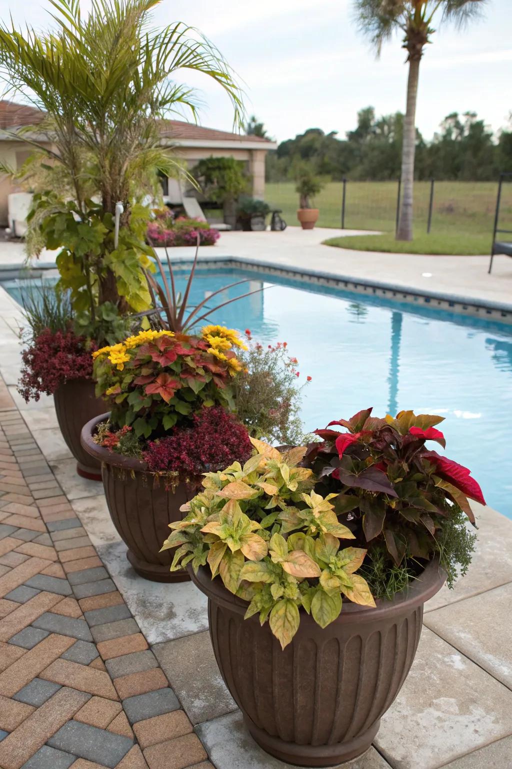 Keep your poolside vibrant with seasonal plants.