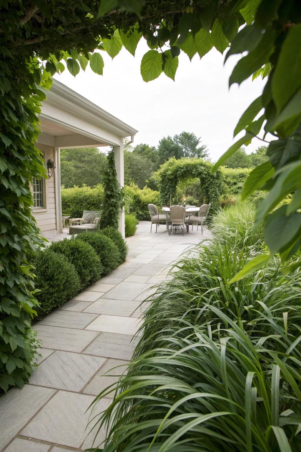 Liriope creating a lush perimeter around a patio area.