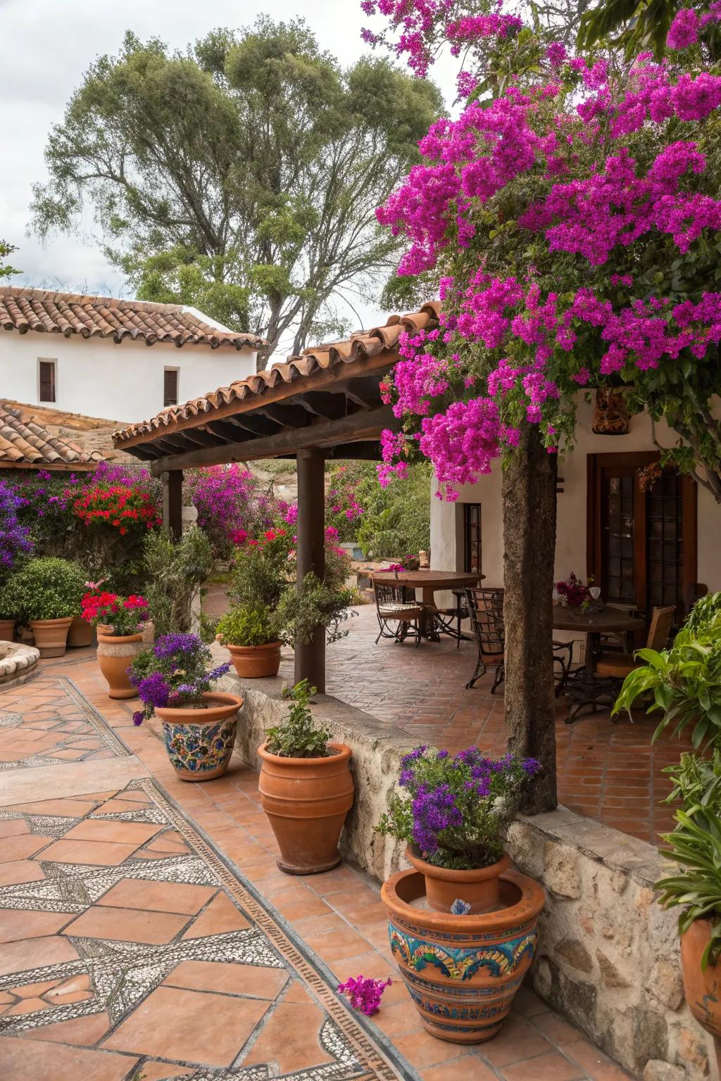 A Mexican patio with blooming bougainvillea in pots, adding vibrant color.