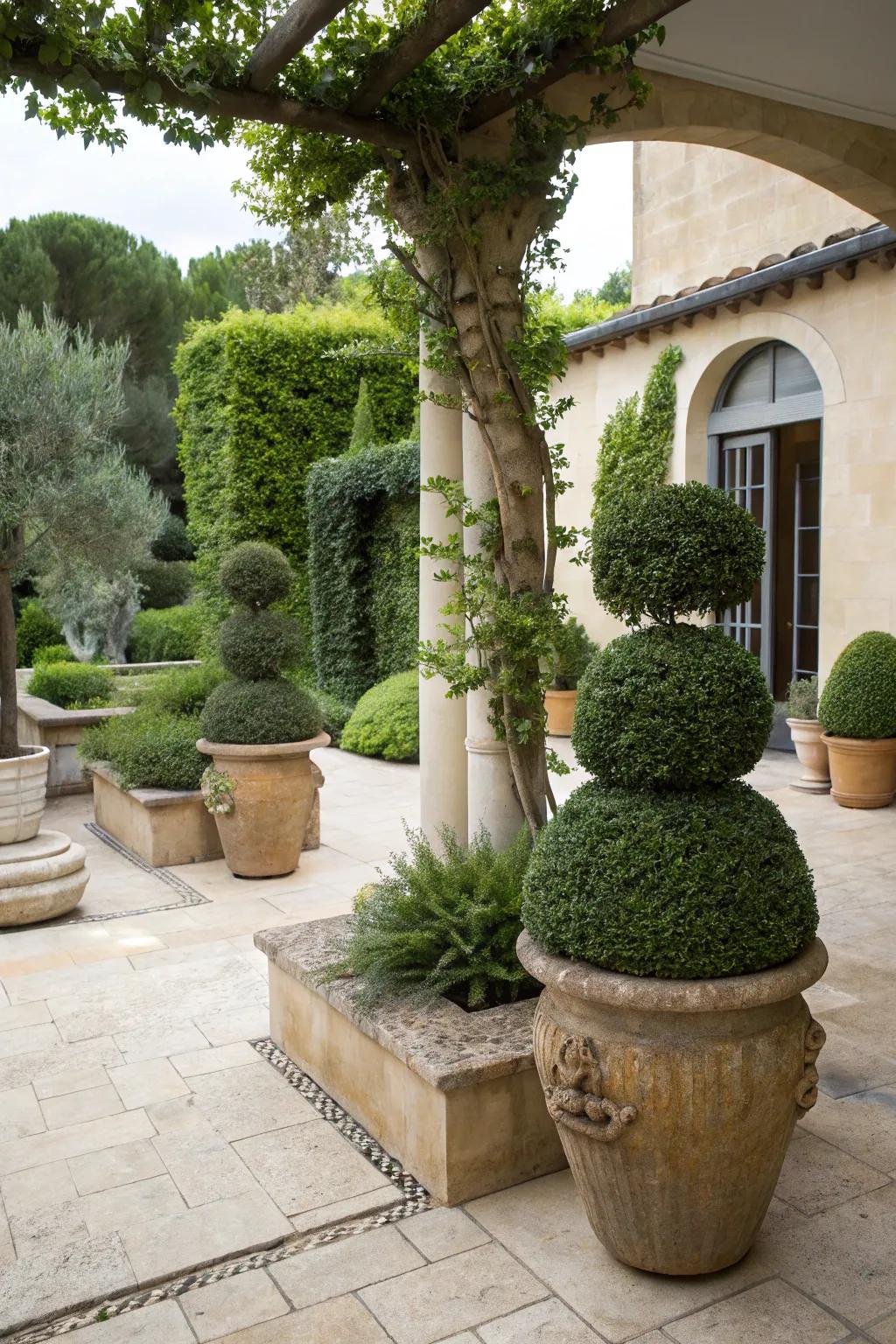 Sculptural plants add intrigue and focal points.