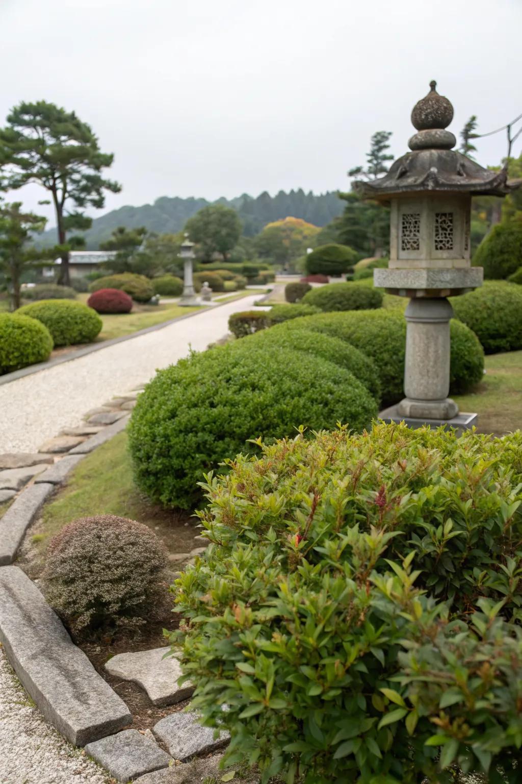 Nandina enhances the serene atmosphere of meditation gardens beautifully.