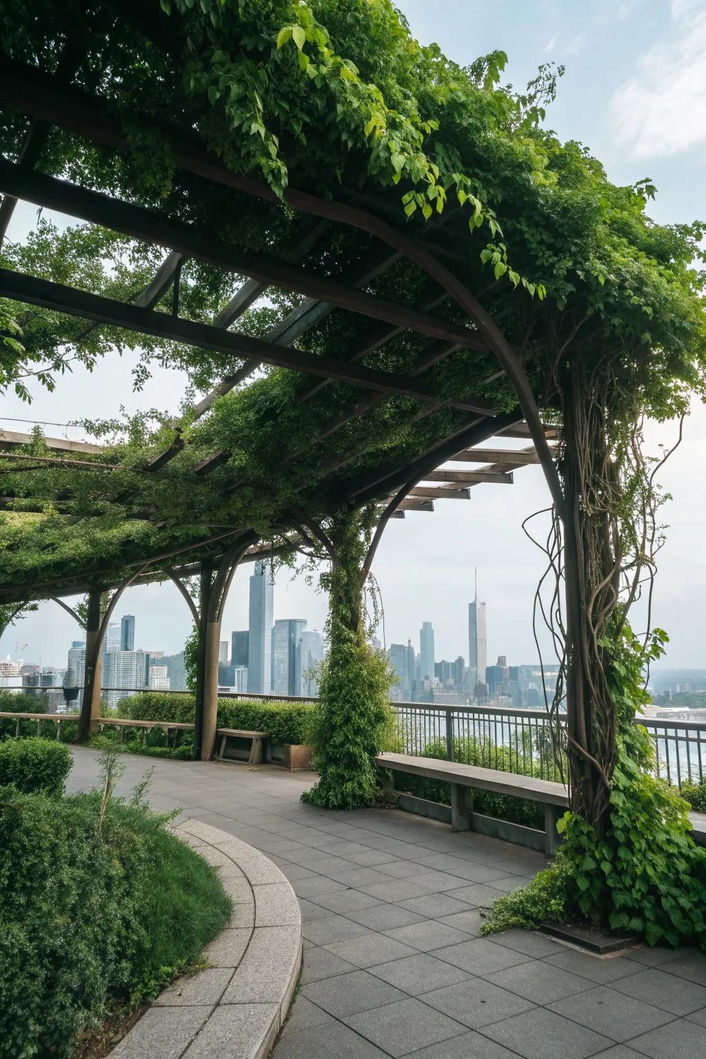 Create a whimsical escape with a vine-covered pergola.