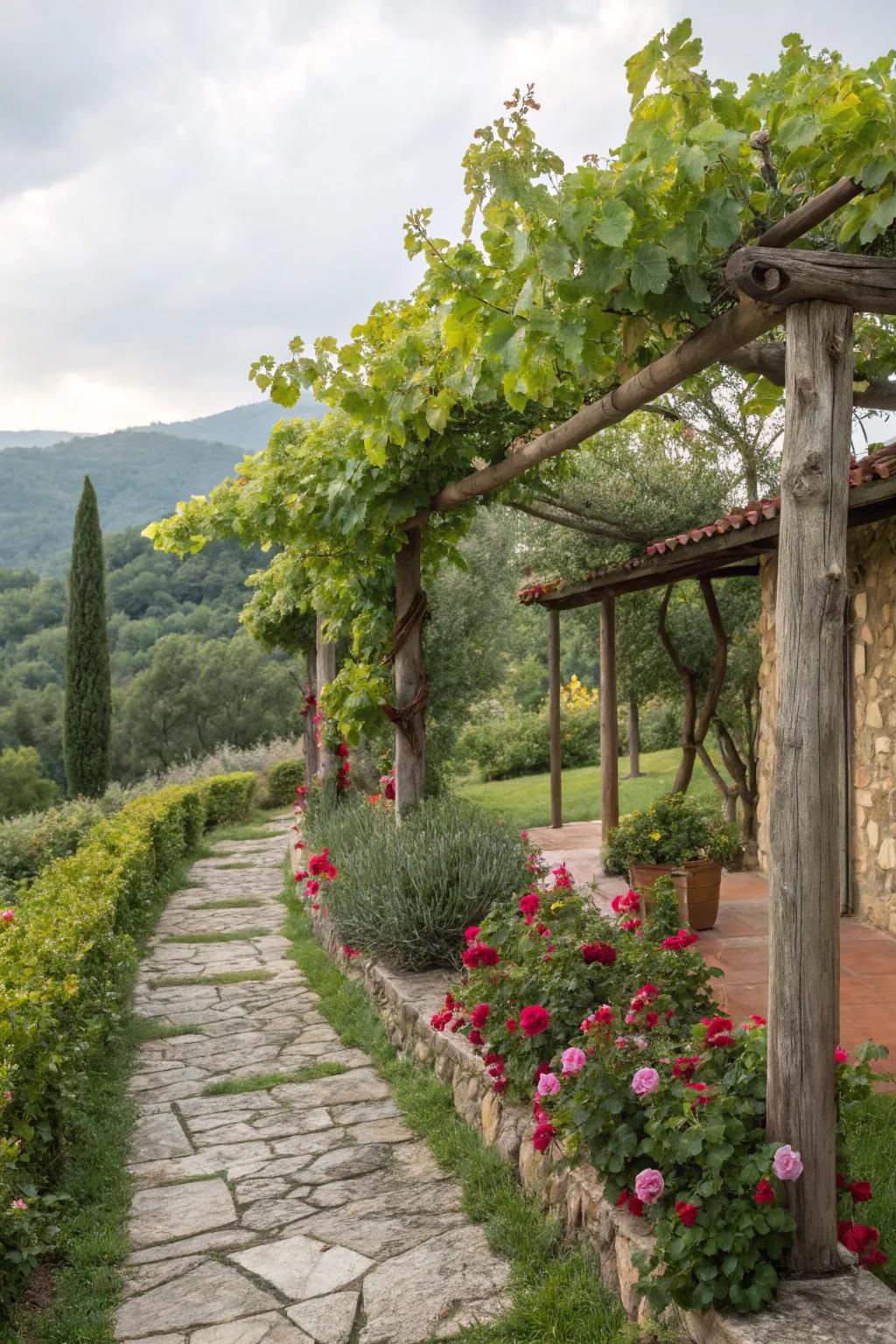 A vineyard corner captures the essence of Tuscany.