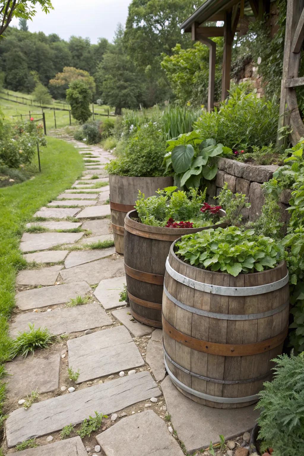 Vertical barrel planters add a rustic vibe to garden decor.