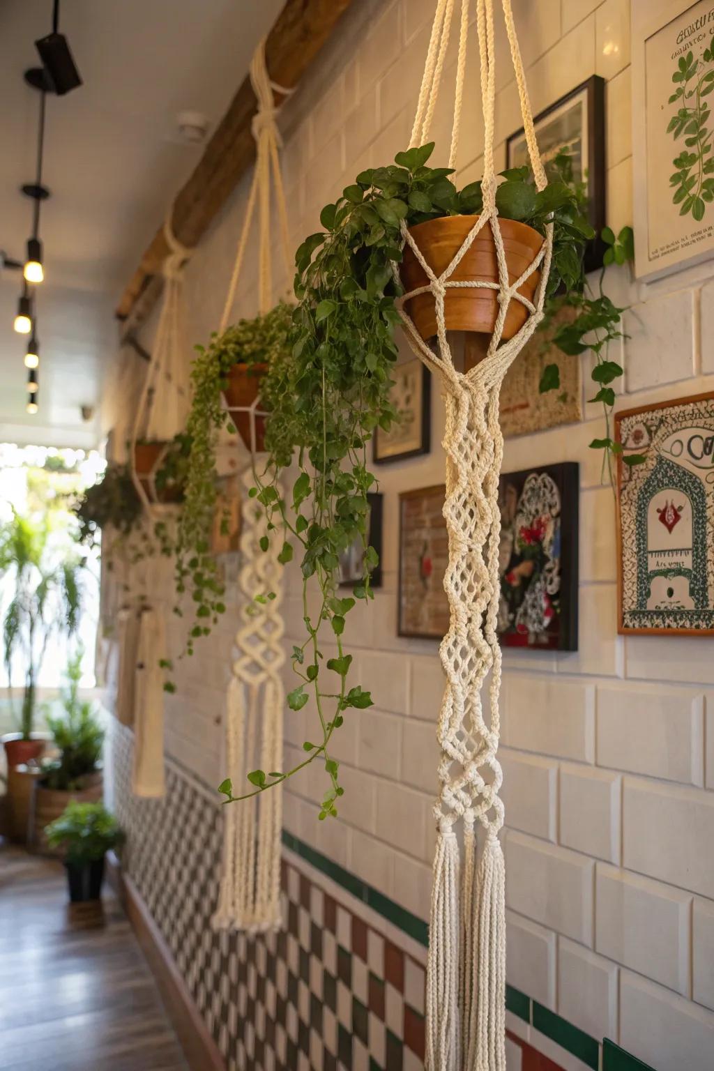 Macramé hangers bring an artistic flair to plant displays.