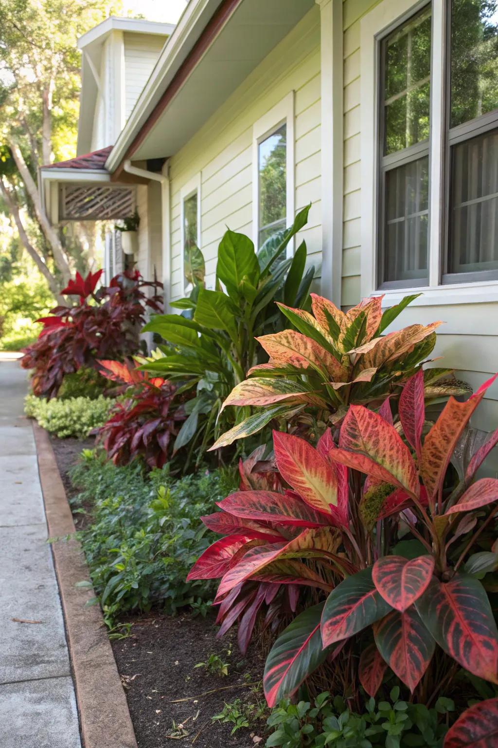 Colorful foliage adds depth and contrast to foundation gardens.