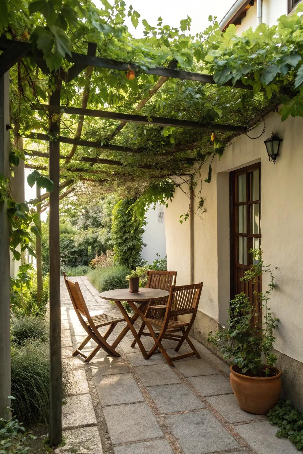 A pergola with climbing vines providing natural shade.