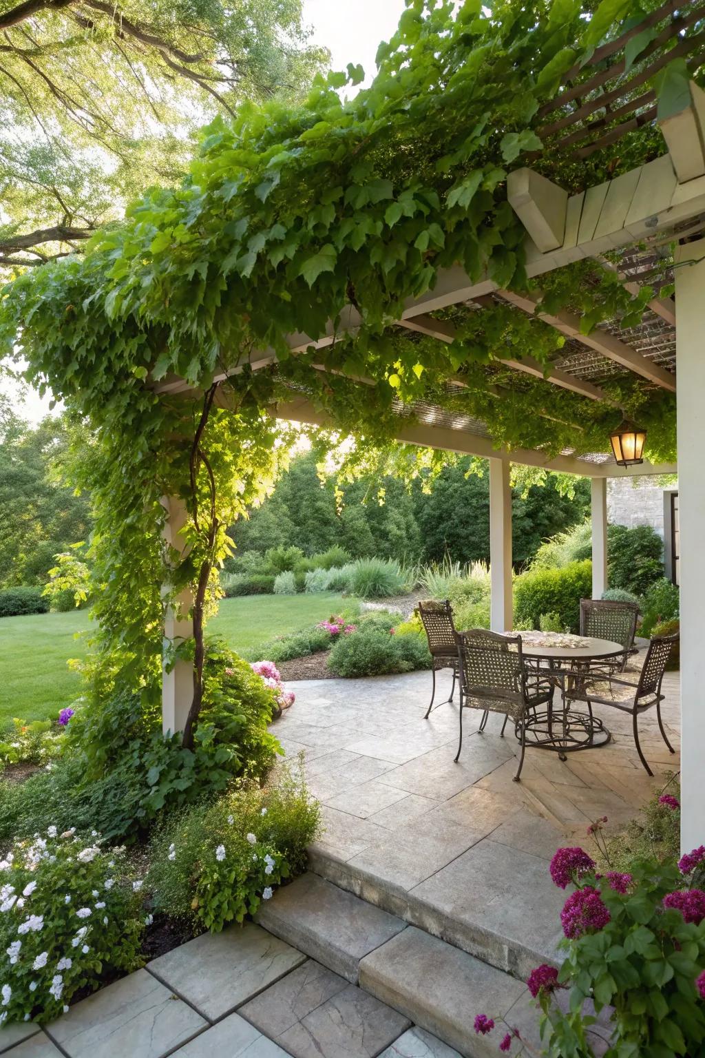 A pergola with climbing vines creates a beautiful and shaded retreat.