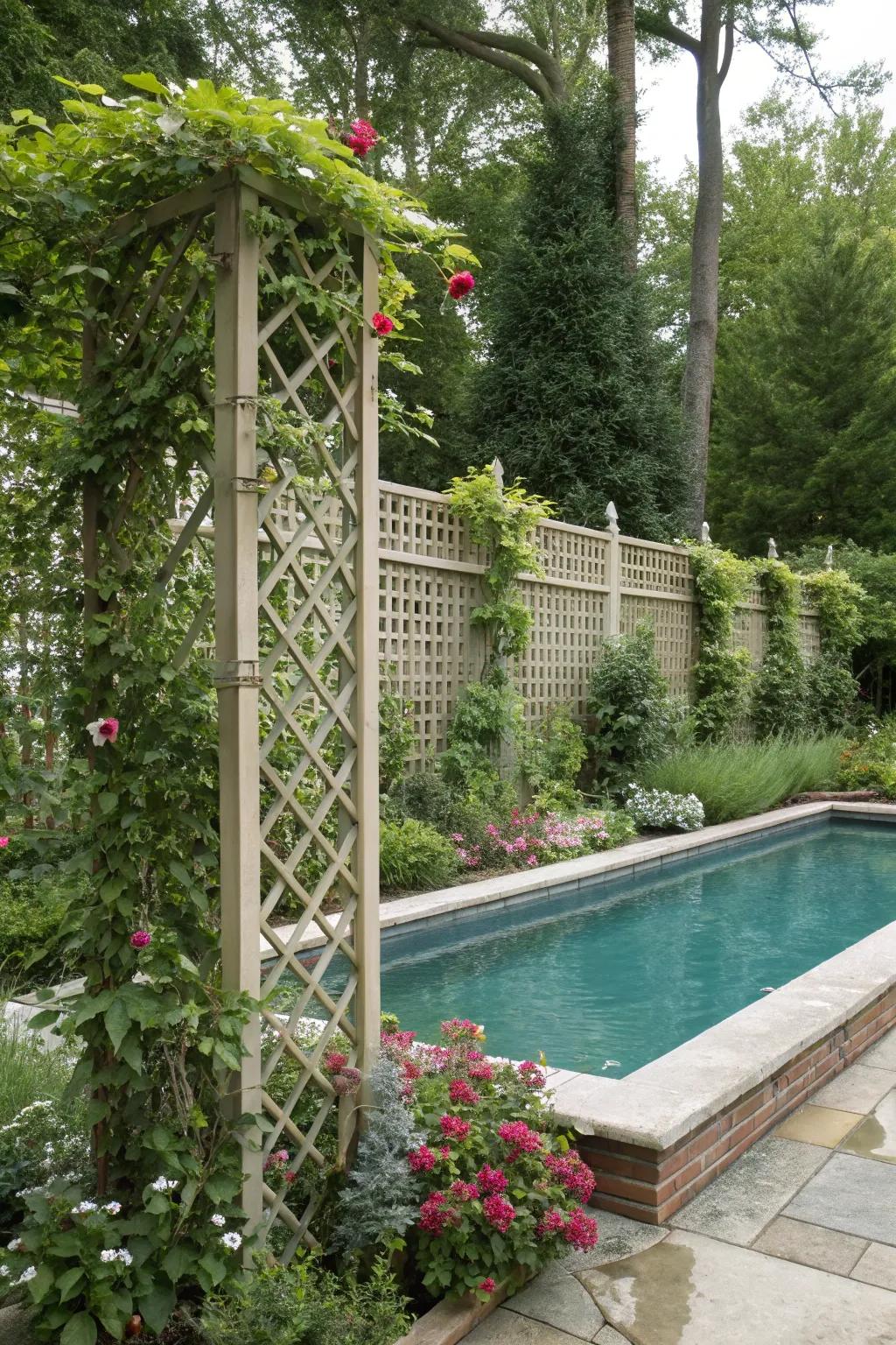 Lattice panels with plants create a natural privacy screen.