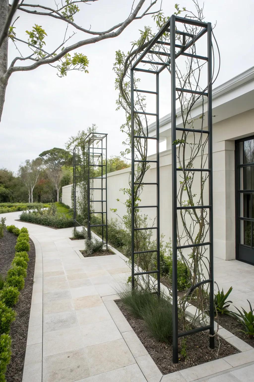 Elegant metal trellis with climbing vines, adding a modern touch to the garden.