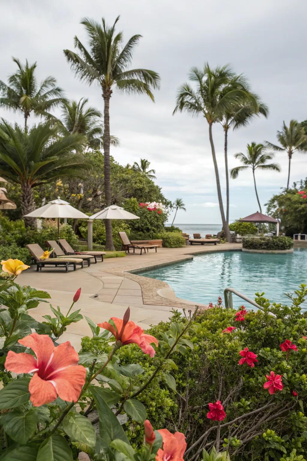 A lush tropical garden surrounds this beach-style pool