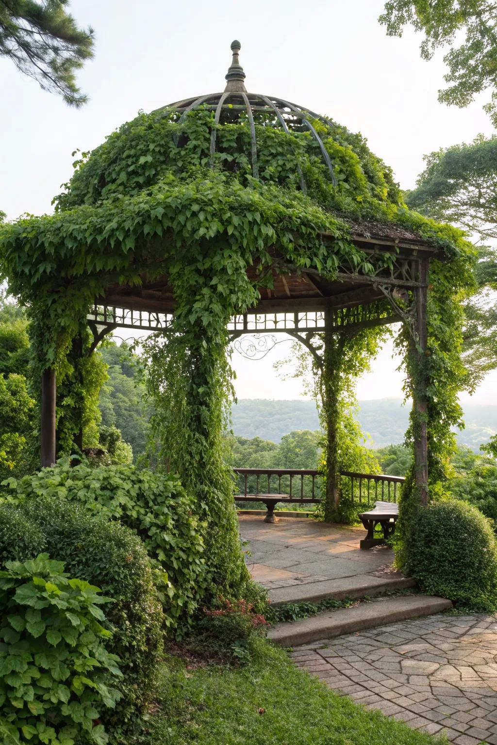 A gazebo surrounded by nature, offering a tranquil retreat.
