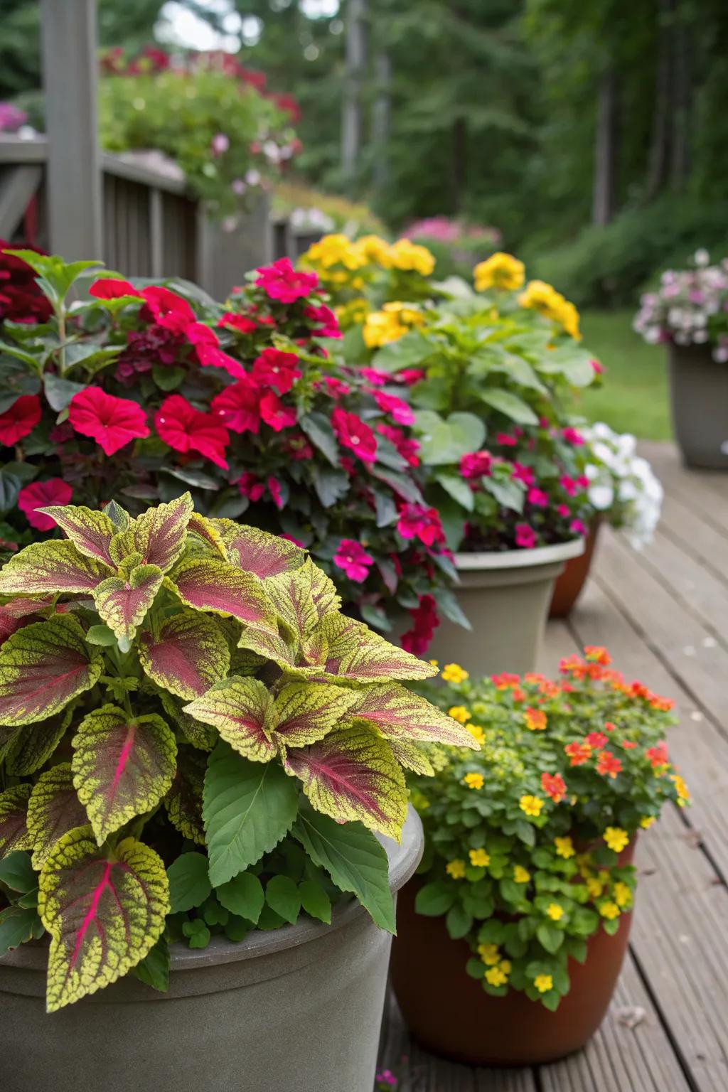 Vibrant Colorful Plant Combinations