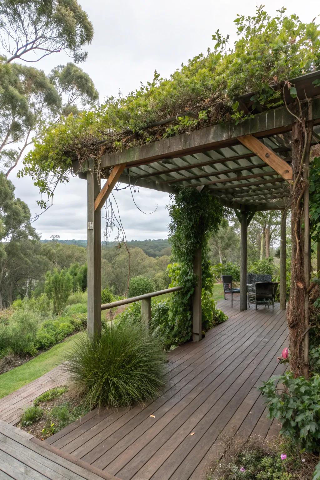 A pergola deck offering shade and a touch of natural beauty.