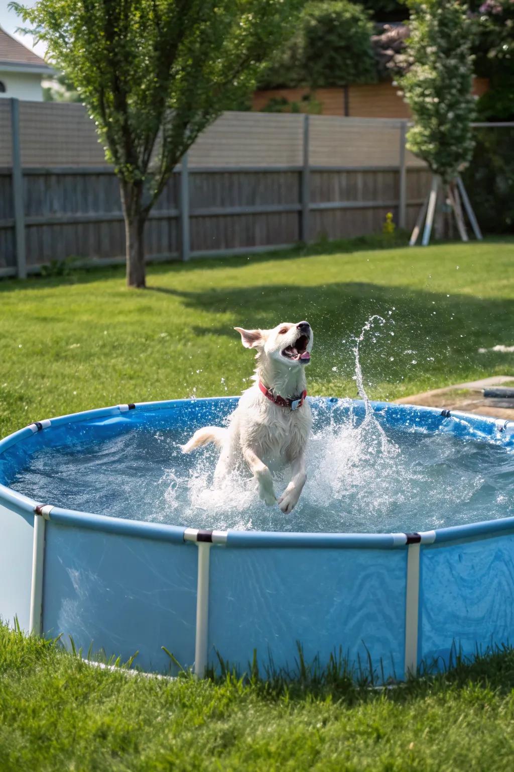 Keep your dog refreshed with a splash zone.