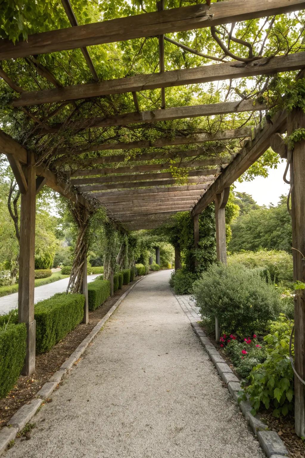 Elevate your driveway with a natural pergola.