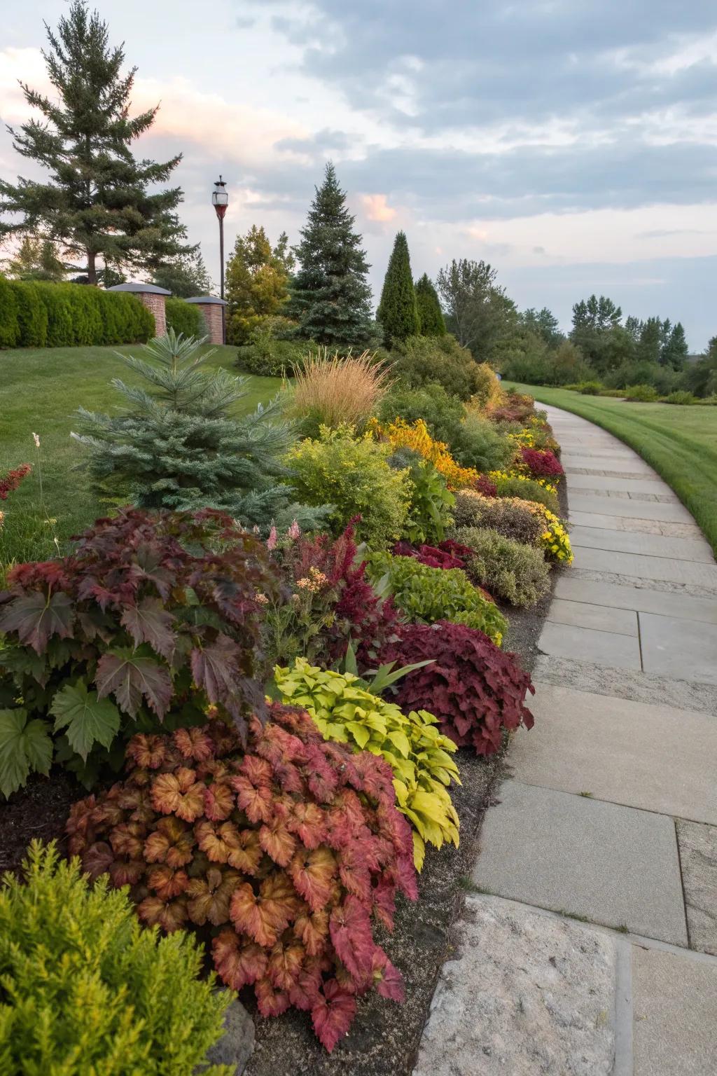 Evergreen shrubs like heucheras add year-round color.