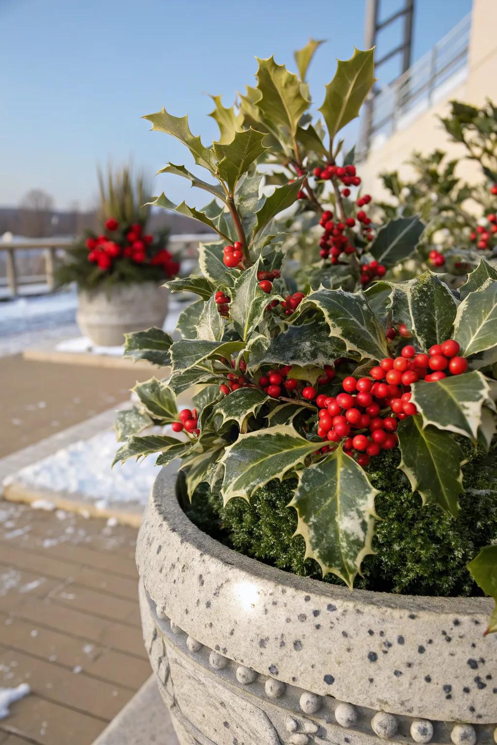 Holly branches add a festive touch with their bright red berries and lush foliage.