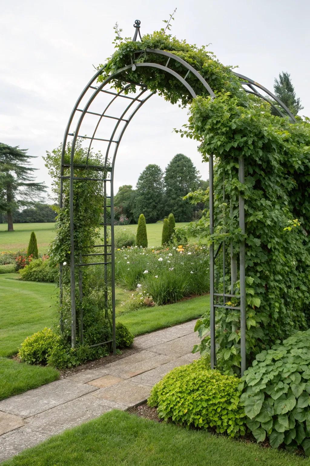 A modern metal garden arch entwined with climbing ivy.