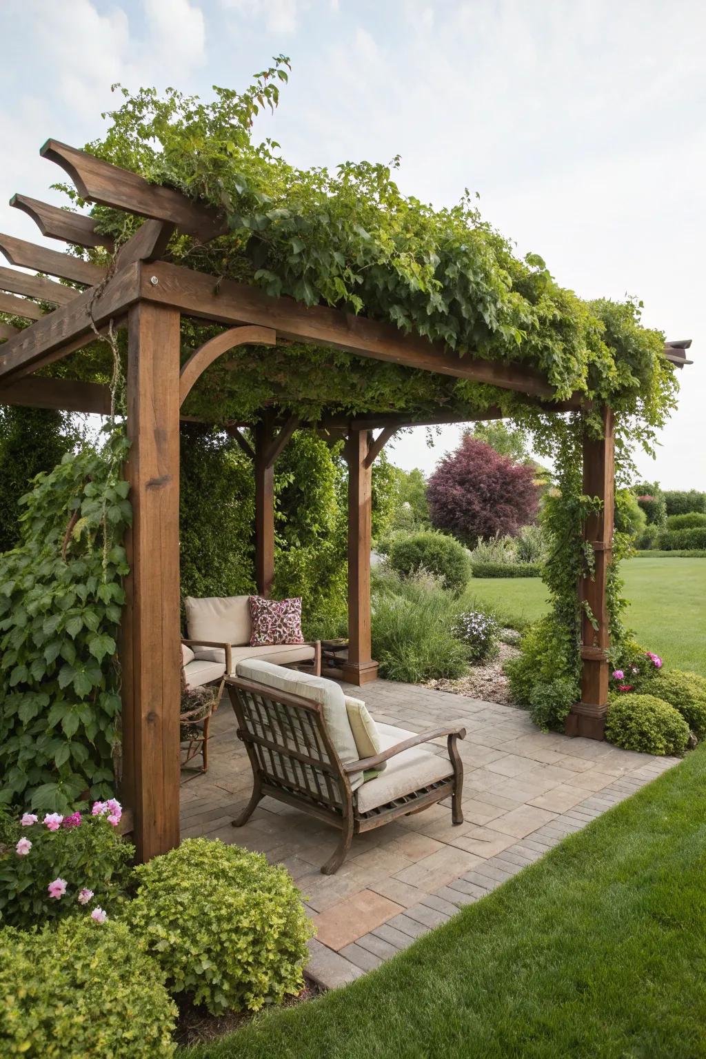 A pergola provides shade and a touch of elegance to any garden.