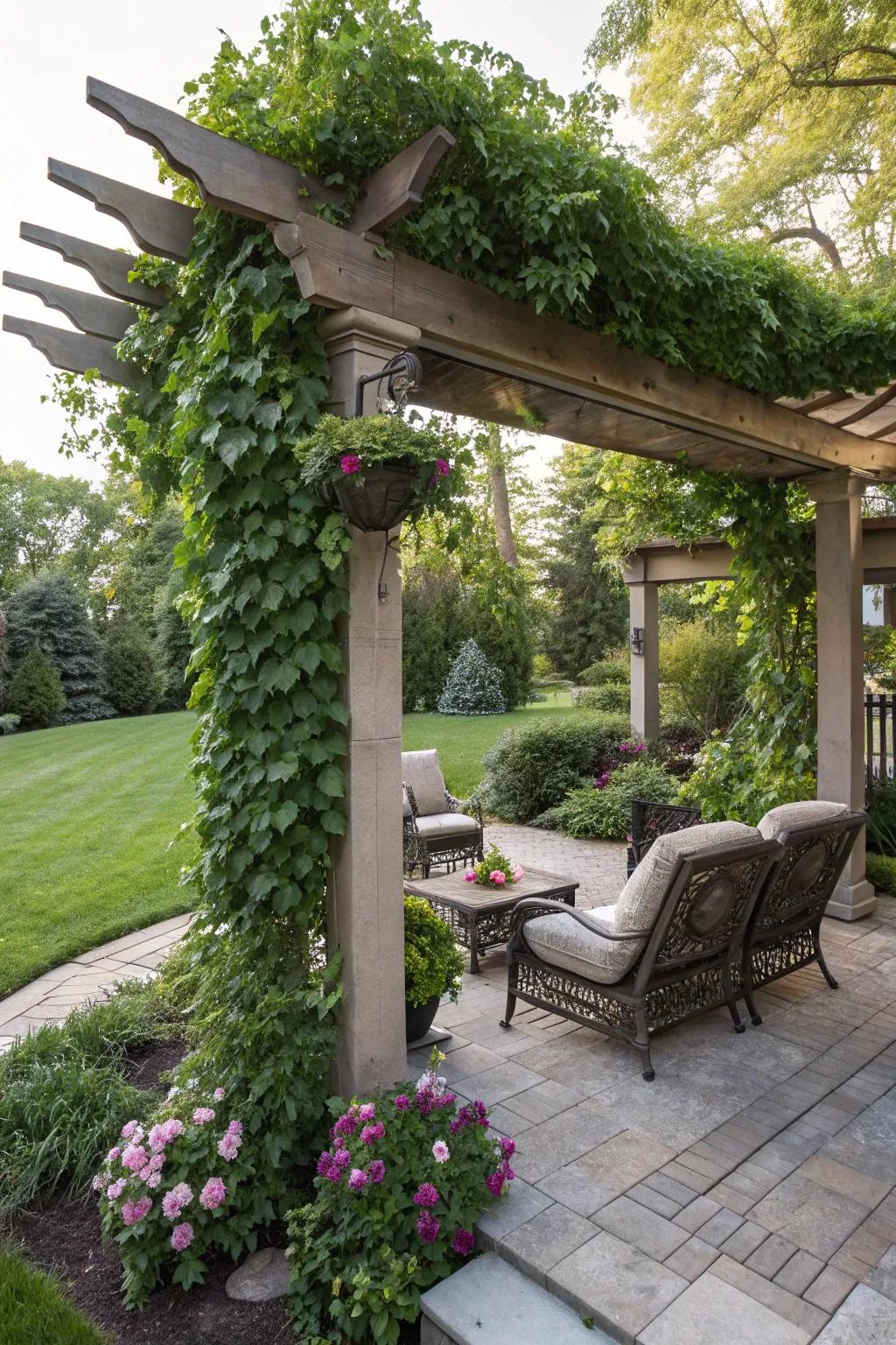 Create a shaded paradise with a pergola and climbing plants.