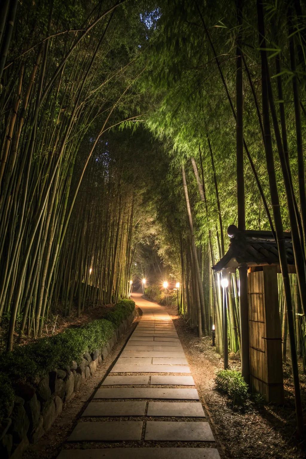 Bamboo corridors glowing with subtle lighting.