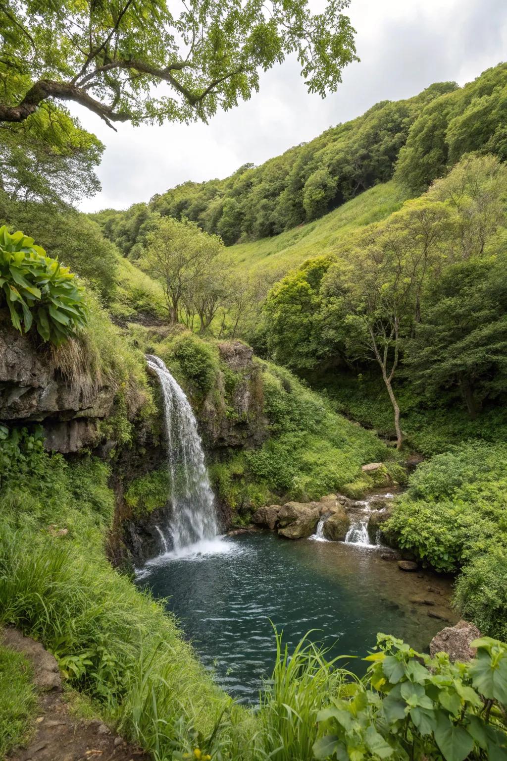 A waterfall adds elegance and serenity to any hill.