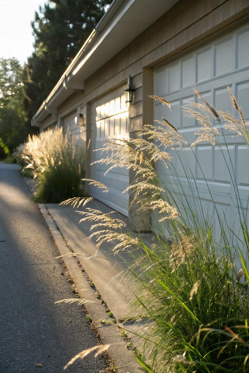 Ornamental grasses can soften the lines of your garage while adding a natural touch.