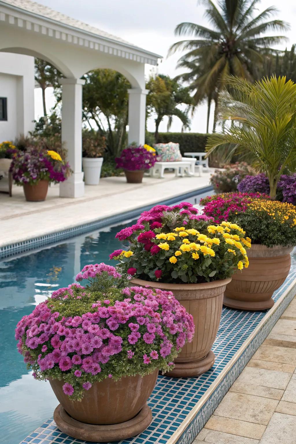 Enhance your poolside with vibrant flowering plants.