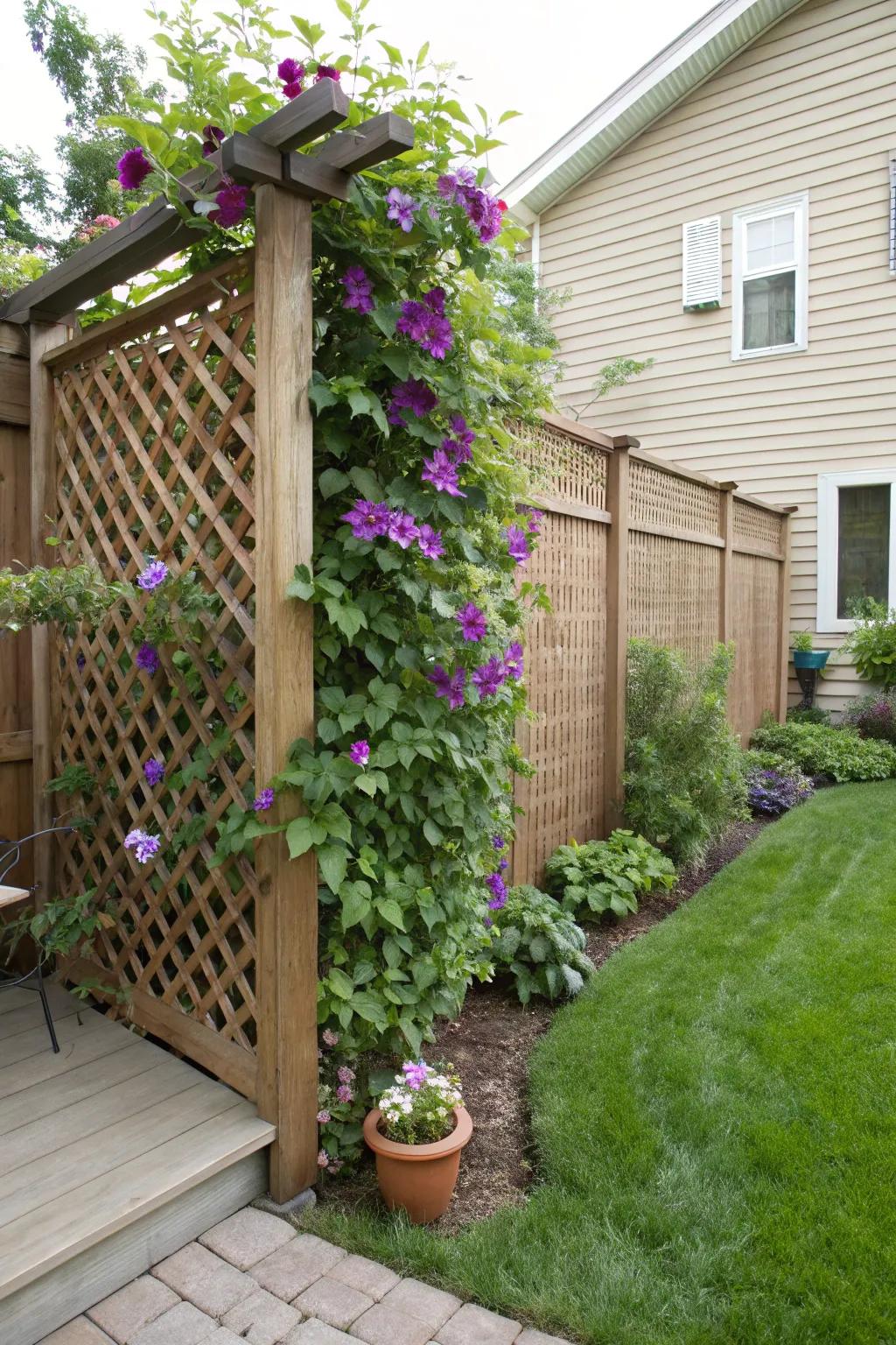 A lattice trellis creating a private garden nook.