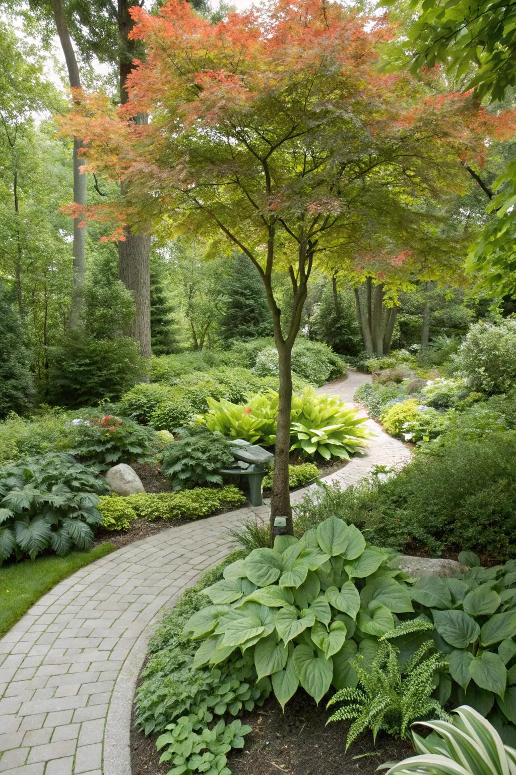 Maple trees paired with perennials create a lush and vibrant garden.