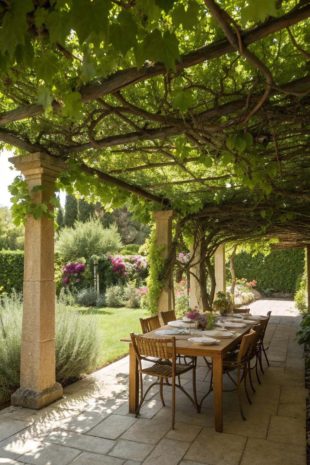 A pergola offering shade and style to your outdoor dining space.
