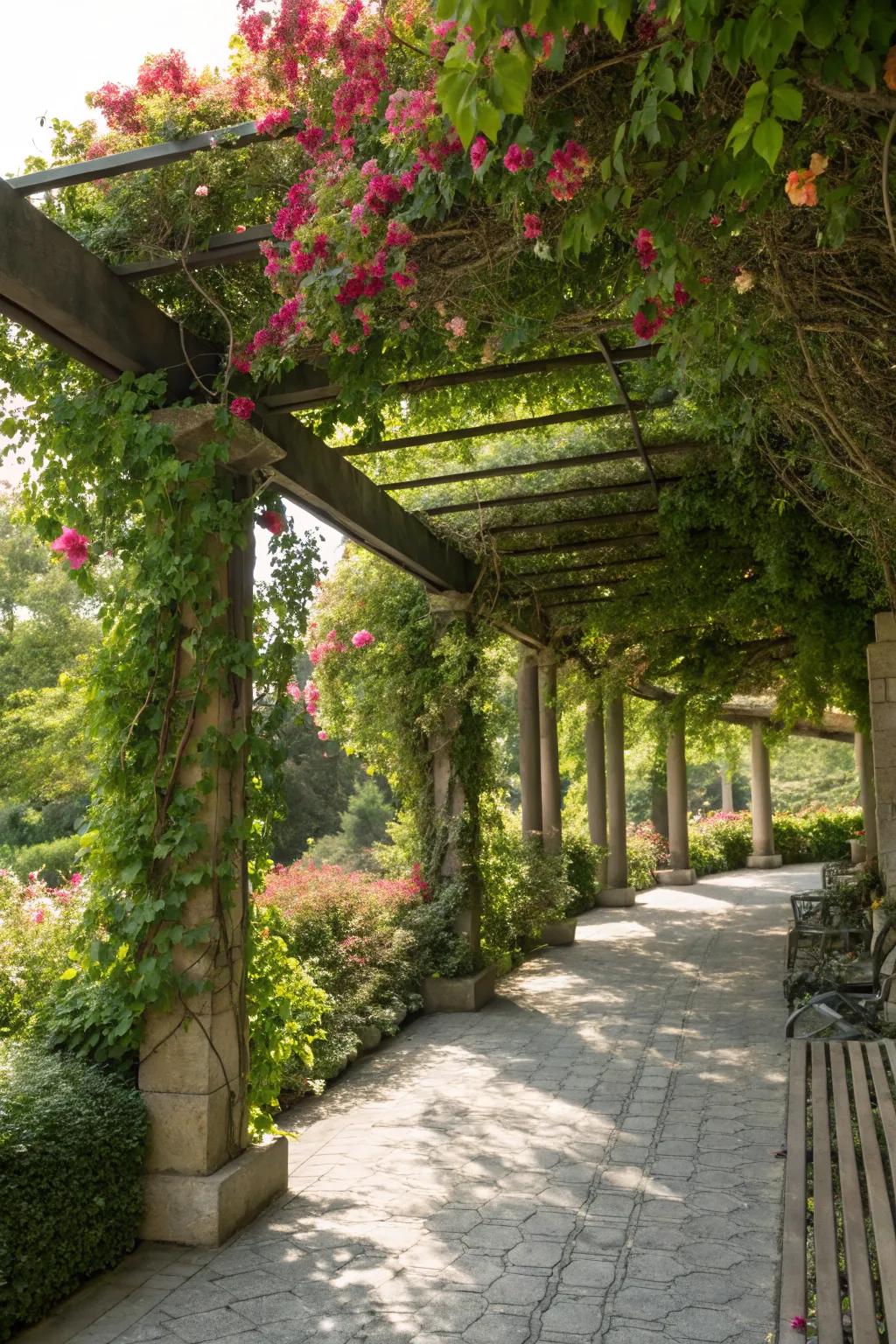Pergolas with vines offer a blend of shade and nature.