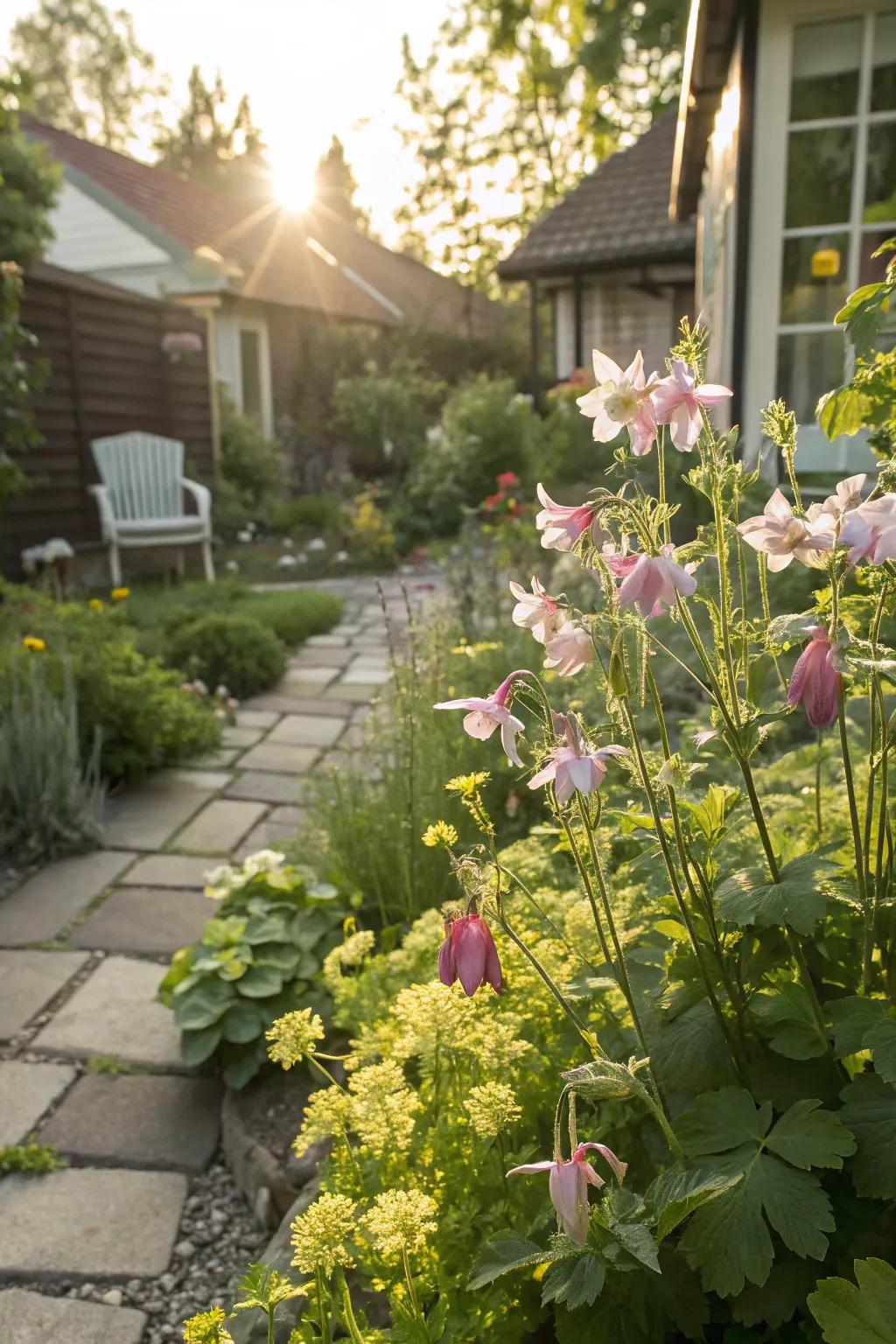 A dreamy cottage garden bursting with charm.