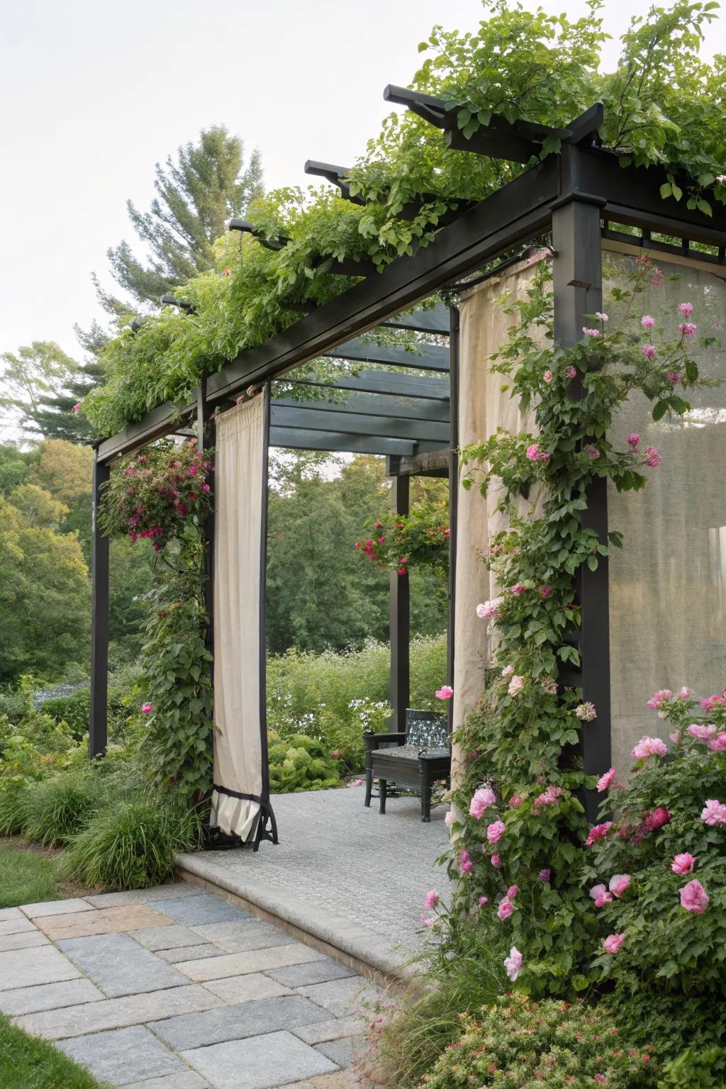 Retractable screens for versatile pergola privacy