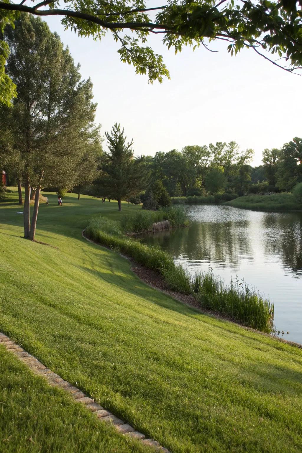 Grassy banks offer a natural and cohesive look for your pond.